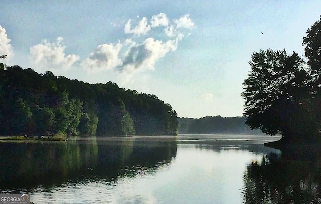 water view with a wooded view