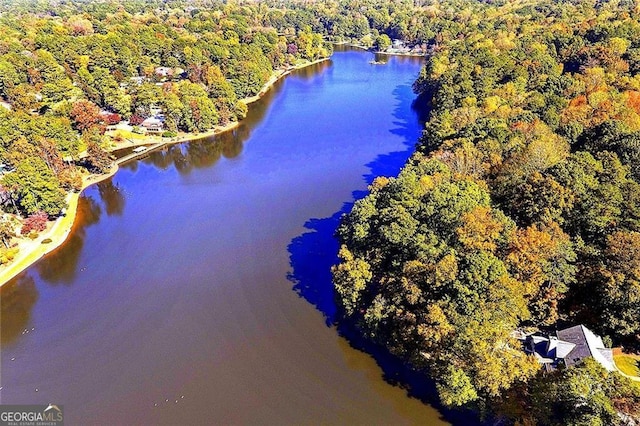 birds eye view of property with a water view and a wooded view