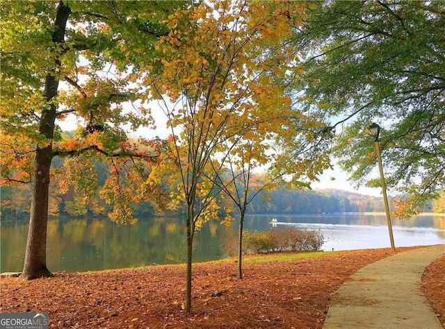 property view of water
