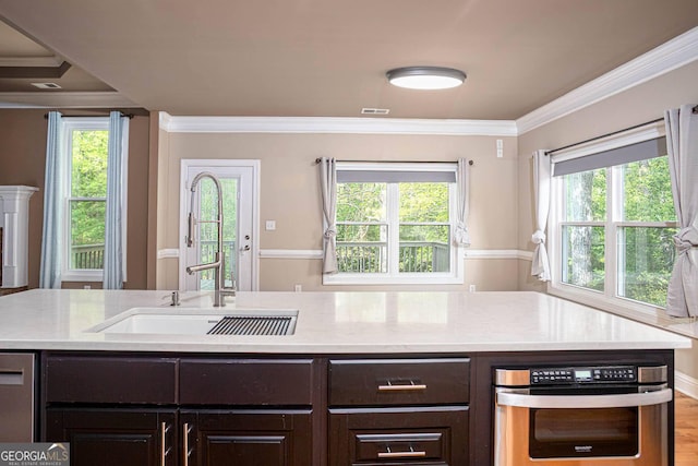 kitchen with a sink, appliances with stainless steel finishes, dark brown cabinetry, and crown molding