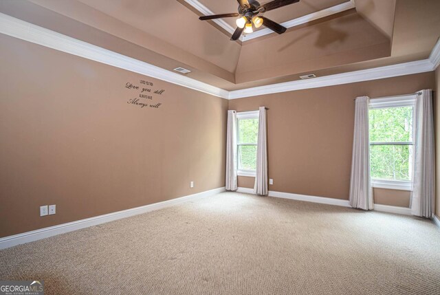spare room with carpet flooring, a tray ceiling, a ceiling fan, and ornamental molding