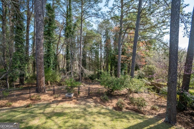 215 Chapman Pl, Athens, GA 30606 - view of yard