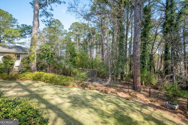 215 Chapman Pl, Athens, GA 30606 - view of yard