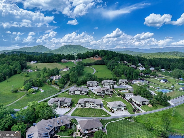 1649-H Lakeview Dr, Young Harris, GA 30582 - drone / aerial view of a mountainous background