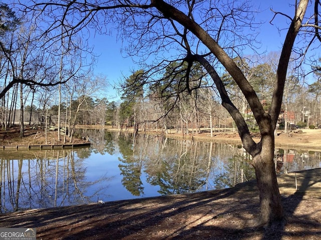 property view of water