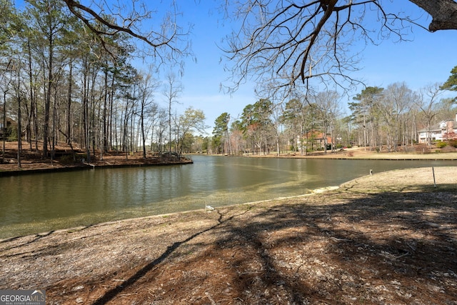 view of water feature