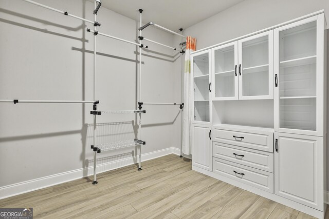 8 Sumner Way, Senoia, GA 30276 - walk in closet featuring light wood-type flooring