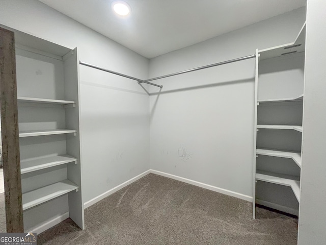 1105 Claxton Dairy Rd, Dublin, GA 31021 - spacious closet featuring carpet floors