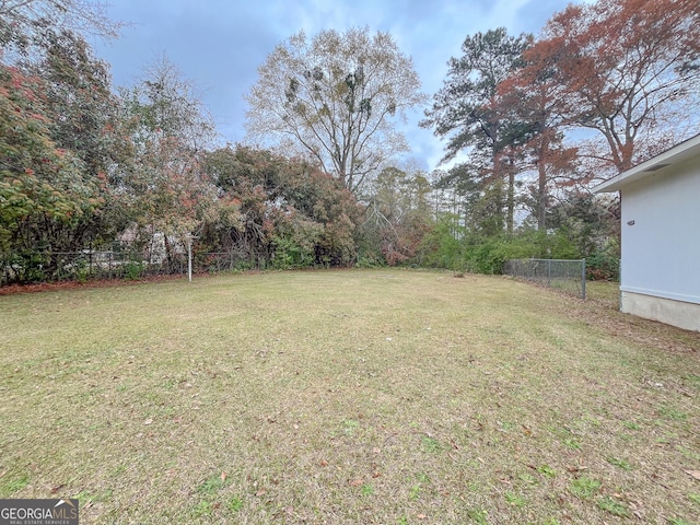 1105 Claxton Dairy Rd, Dublin, GA 31021 - view of yard