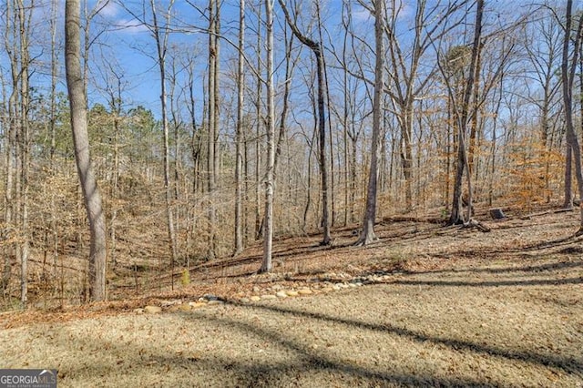 197 Saddleridge Dr, Bremen, GA 30110 - view of yard