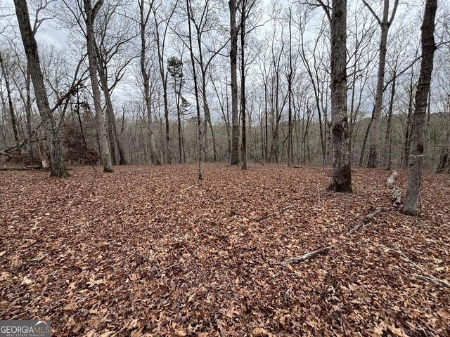 0 Sunset Dr, Locust Grove, GA 30248