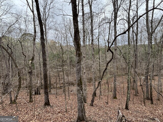0 Sunset Dr, Locust Grove, GA 30248