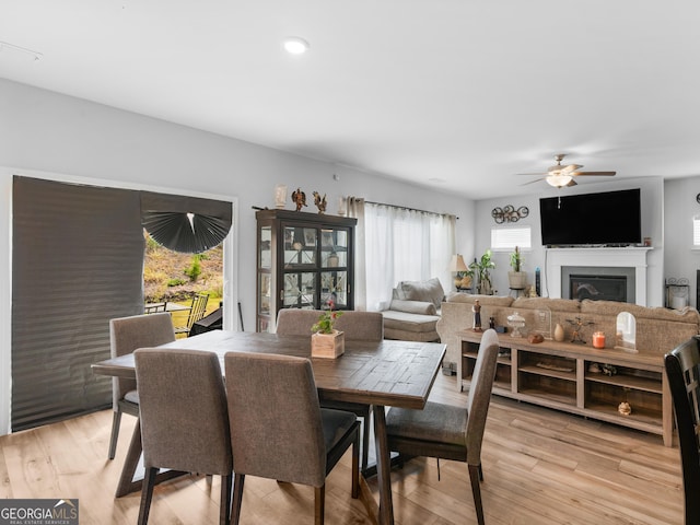 dining room featuring a fireplace, light wood-style flooring, and a ceiling fan