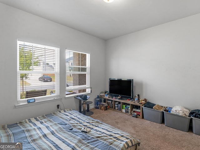 bedroom with multiple windows and carpet floors
