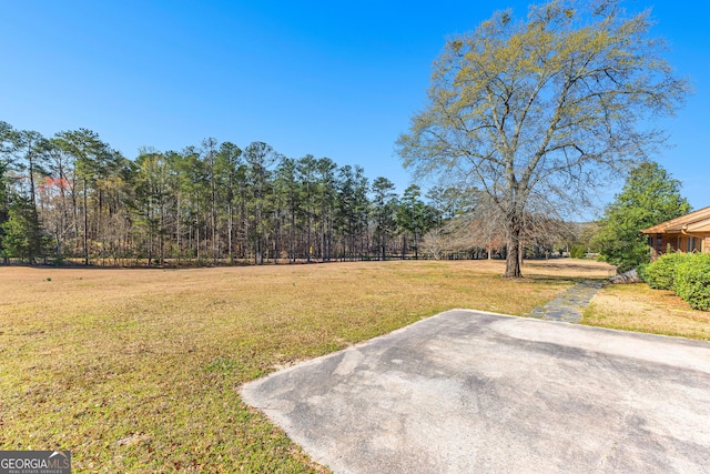 9095 Cedar Grove Rd, Fairburn, GA 30213 - view of yard