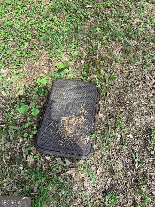 1288 Lakewood Dr NE, Conyers, GA 30013 - details featuring a water meter