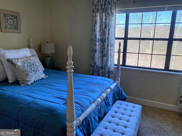 bedroom featuring carpet floors, baseboards, and multiple windows
