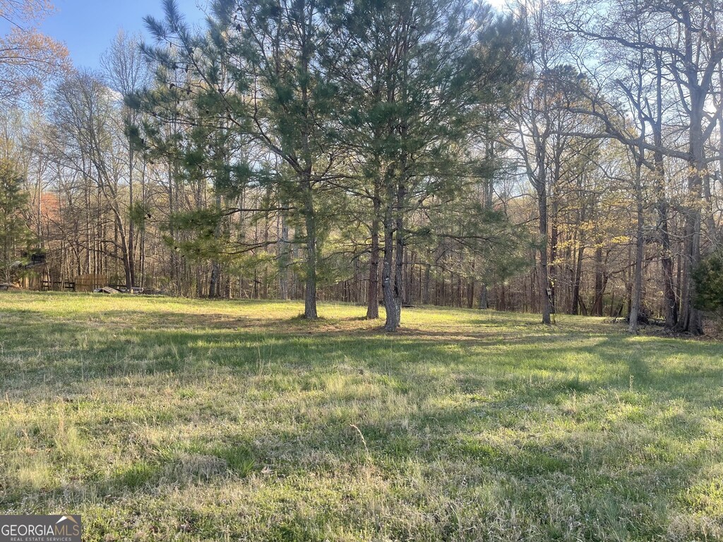 205 River Meadow Ln, Social Circle, GA 30025