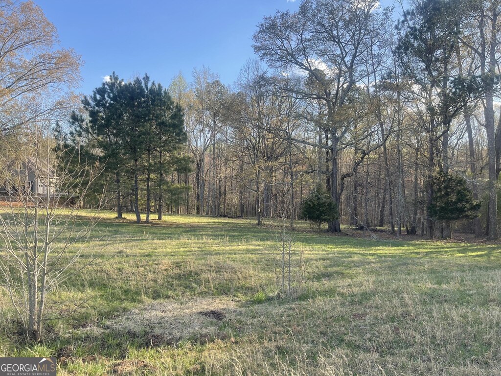 205 River Meadow Ln, Social Circle, GA 30025