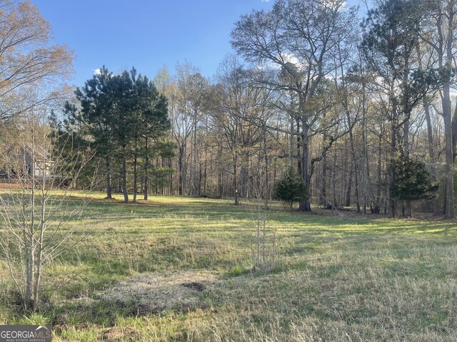 205 River Meadow Ln, Social Circle, GA 30025