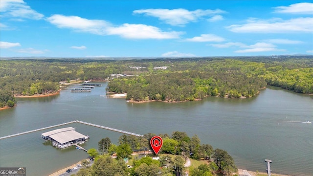 bird's eye view of a heavily wooded area and a large body of water