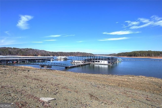 dock area featuring a water view and a view of trees
