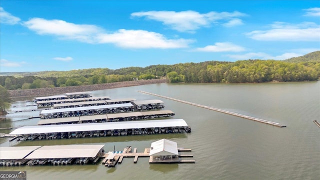 bird's eye view of a heavily wooded area and a nearby body of water