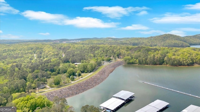 aerial view of a heavily wooded area and a water and mountain view