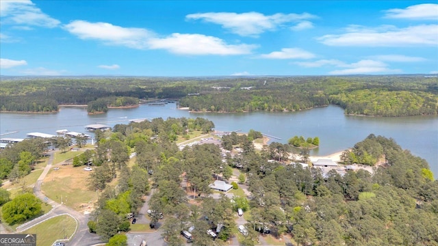 aerial overview of property's location with a heavily wooded area and a nearby body of water