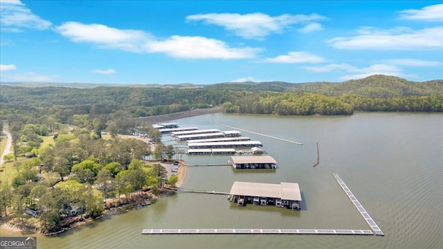 drone / aerial view of a heavily wooded area and a nearby body of water