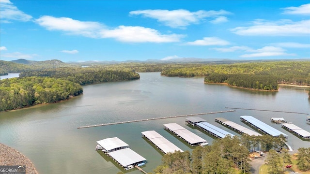 bird's eye view of a heavily wooded area and a water and mountain view