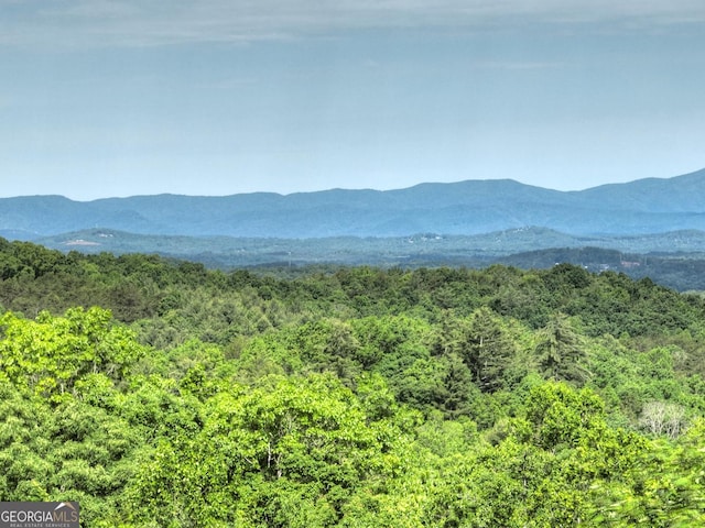 54 Channing Holw, Morganton, GA 30560 - view of mountain background with a forest