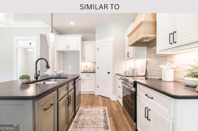 107 Tilden Way, Perry, GA 31069 - kitchen with appliances with stainless steel finishes, dark countertops, premium range hood, light wood-style flooring, and tasteful backsplash