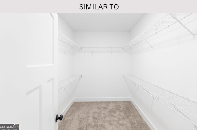 107 Tilden Way, Perry, GA 31069 - walk in closet with light colored carpet