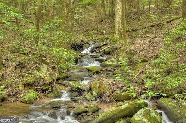 view of landscape with a wooded view