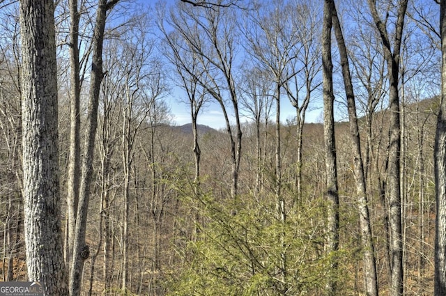 view of landscape with a wooded view