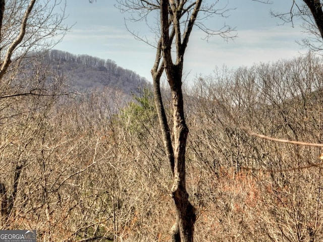 view of local wilderness with a wooded view and a mountain view