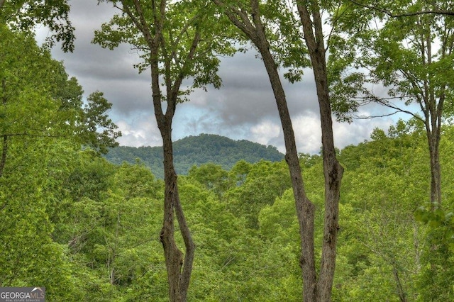 mountain view with a view of trees