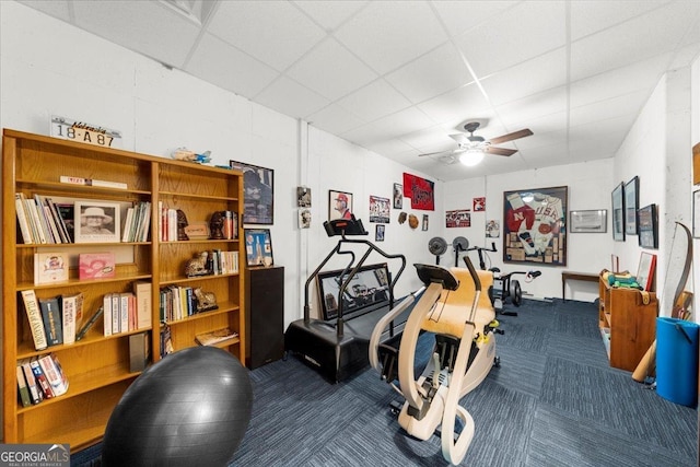 workout area featuring carpet flooring, ceiling fan, and a drop ceiling