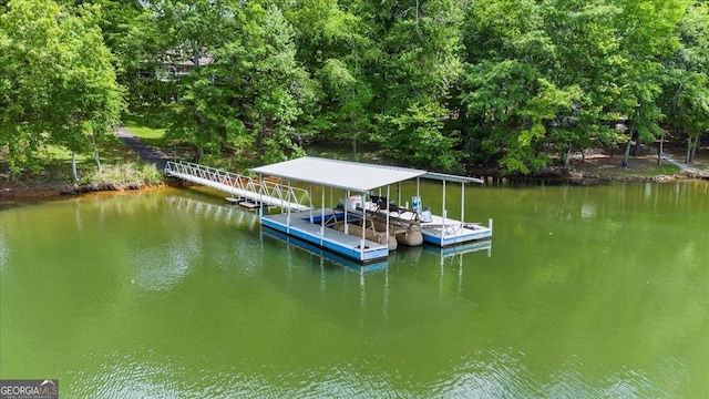 dock area with a water view