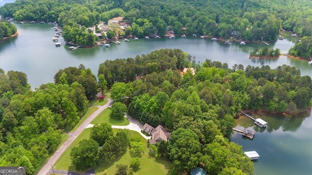 birds eye view of property featuring a view of trees and a water view