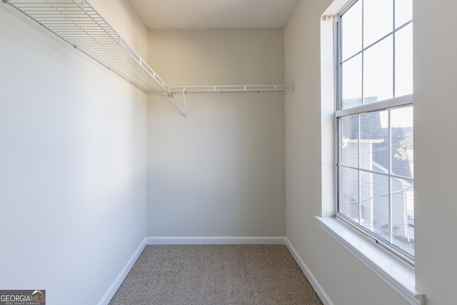 spacious closet featuring carpet floors