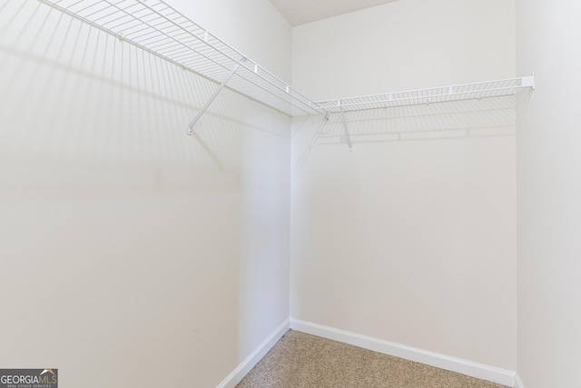 spacious closet featuring carpet flooring