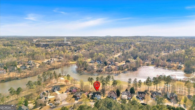 2445 Ridgelake Dr, Villa Rica, GA 30180 - view of property location featuring a large body of water and a heavily wooded area