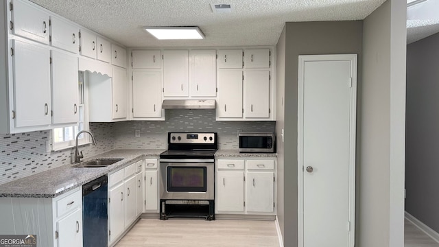 1655 Cherry Hill Rd SW, Conyers, GA 30094 - kitchen featuring under cabinet range hood, a sink, light wood-style floors, a textured ceiling, and appliances with stainless steel finishes