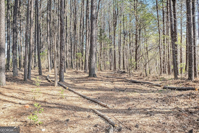 681 County Line Auburn Rd, Winder, GA 30680