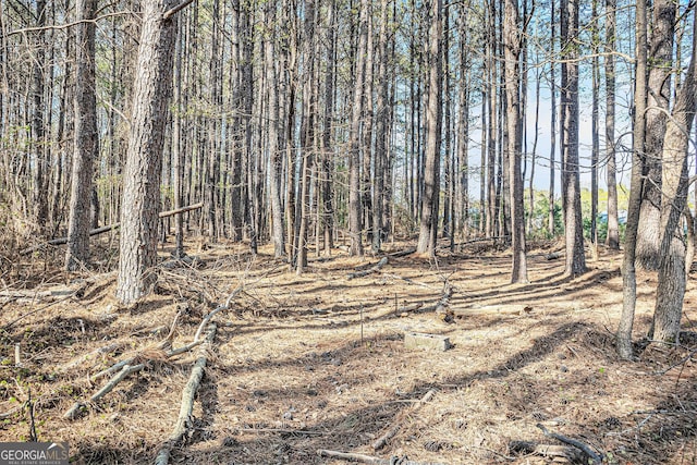 681 County Line Auburn Rd, Winder, GA 30680