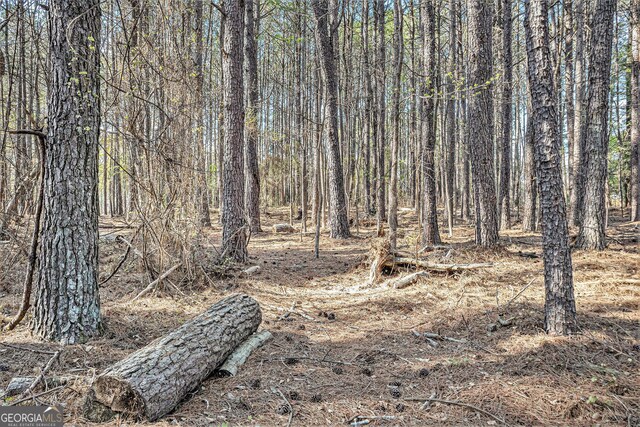 681 County Line Auburn Rd, Winder, GA 30680