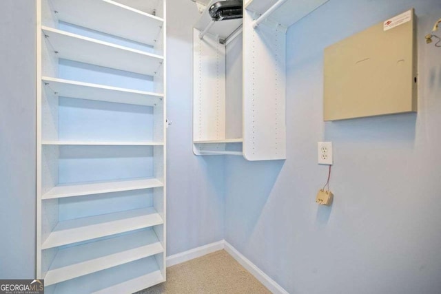 walk in closet featuring carpet