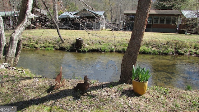 41 Speckled Trout Dr, Cleveland, GA 30528 - water view